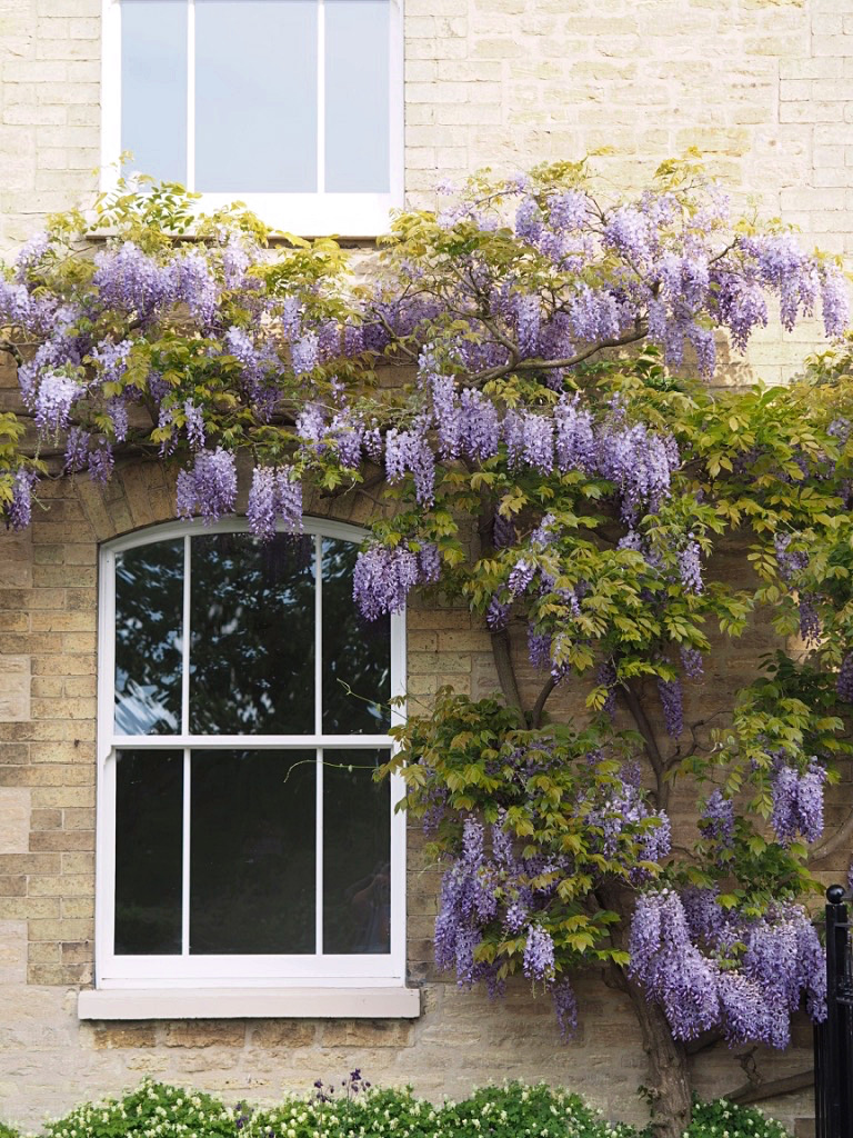 conservation sash windows Farnham